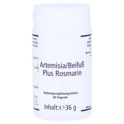 Артемизинин 150 мг капс. 60шт в Туле и области фото