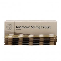 Андрокур (Ципротерон) таблетки 50мг №50 в Туле и области фото